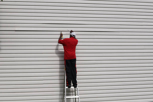 Best Aluminum Siding Installation  in Port Neches, TX